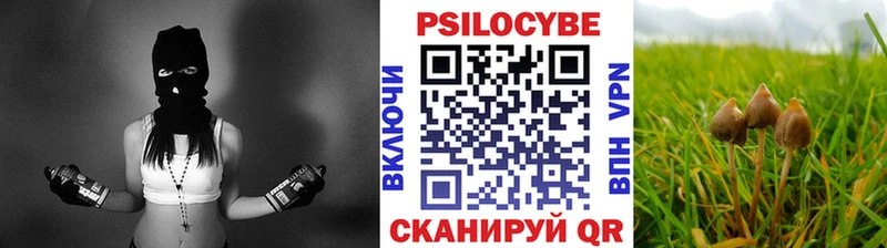 Галлюциногенные грибы мицелий  shop формула  Ясный 